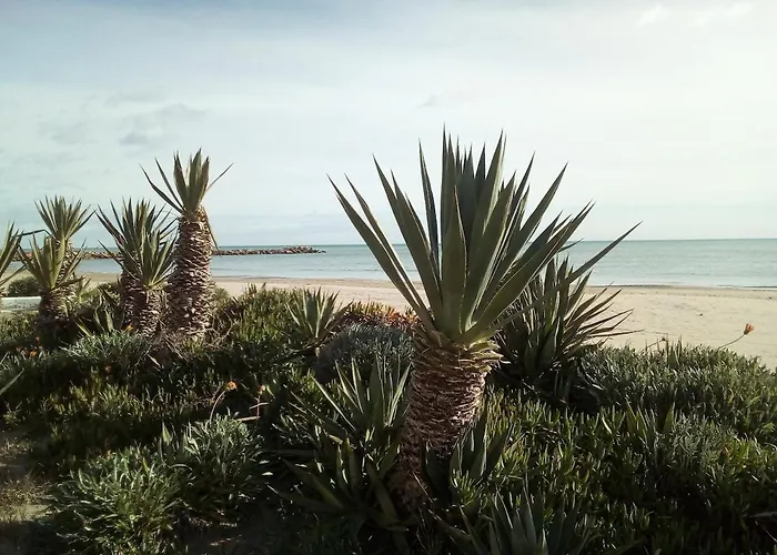 Pobla De Farnals Beach Apartment
